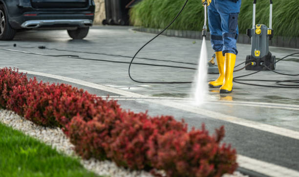 Best Roof Washing  in Mentone, CA